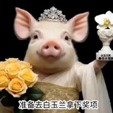 美国老母猪