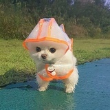 .BABYH