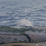 zgyc
