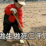 早点退休