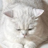 小号比比机