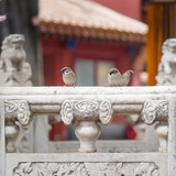 限定词