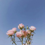 赵默笙