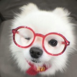 抱抱幻想型精灵