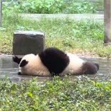 每天快乐