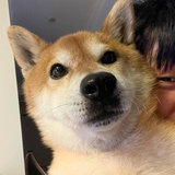 小巨