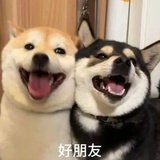 咸鱼变麻辣鱼🐟
