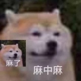 胖虎他妹