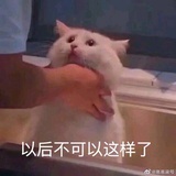 纯纯路人