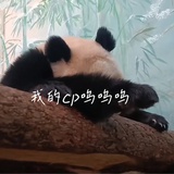 略略略
