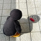 柚