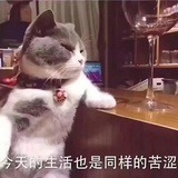 mоmо