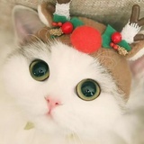 小元贞
