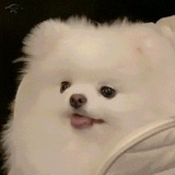 Jnue