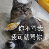 八竿子不打路人