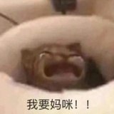 设置昵称