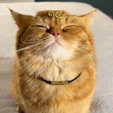 微荀