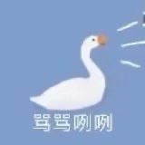开始自闭