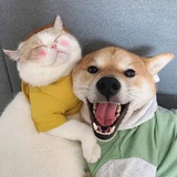 彷徨