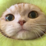 小憨