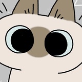 比比猪
