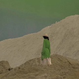 僵尸是小黄花
