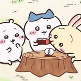 脸圆圆