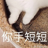 黑鸽子