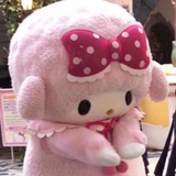 kitty
