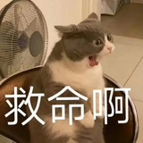 张元英