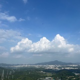 醉