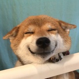 Lin