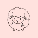 今晚不吃