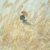 一野
