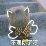 方便DNF