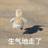 许凯soso