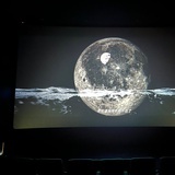 花自飘零水自流