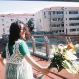 不喵兔子往哪桃