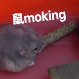 肮脏的罗贝托