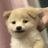 辣ki辣ki