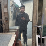 诸葛正龙