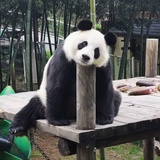 不要熬夜