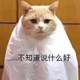 只有勇敢的小熊