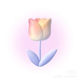 今天是个好日子