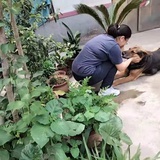 大赛赛和鸿麒麒
