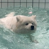 ：）