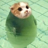 OuO