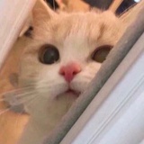 别来沾边