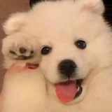 我谢谢你