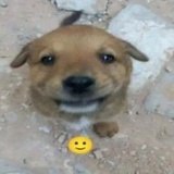 李翼俊